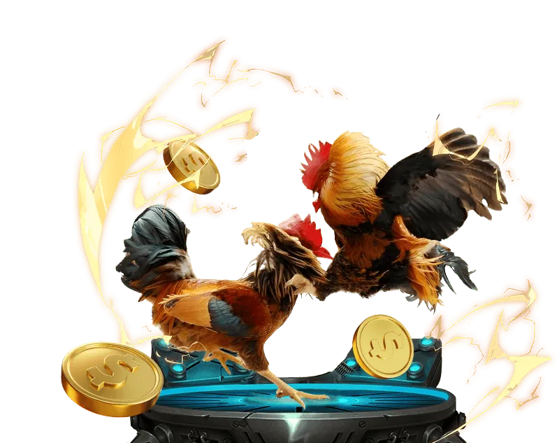 Đa dạng môn thể thao và kèo cược tại Win55